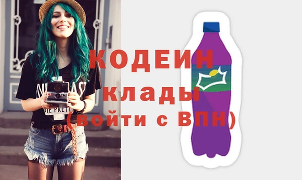 молекула духа Козловка