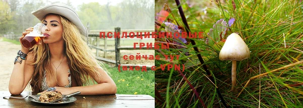 скорость Костерёво