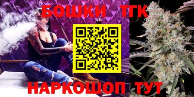 spice Кингисепп