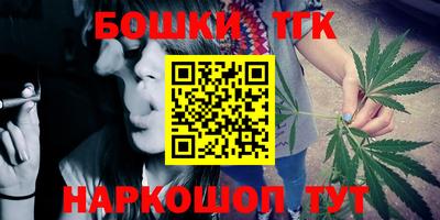 spice Кингисепп
