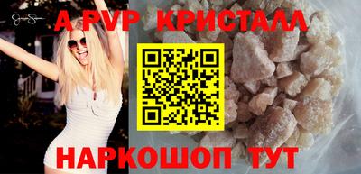 spice Кингисепп
