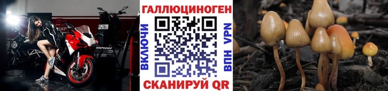 Псилоцибиновые грибы Magic Shrooms  Красный Сулин 
